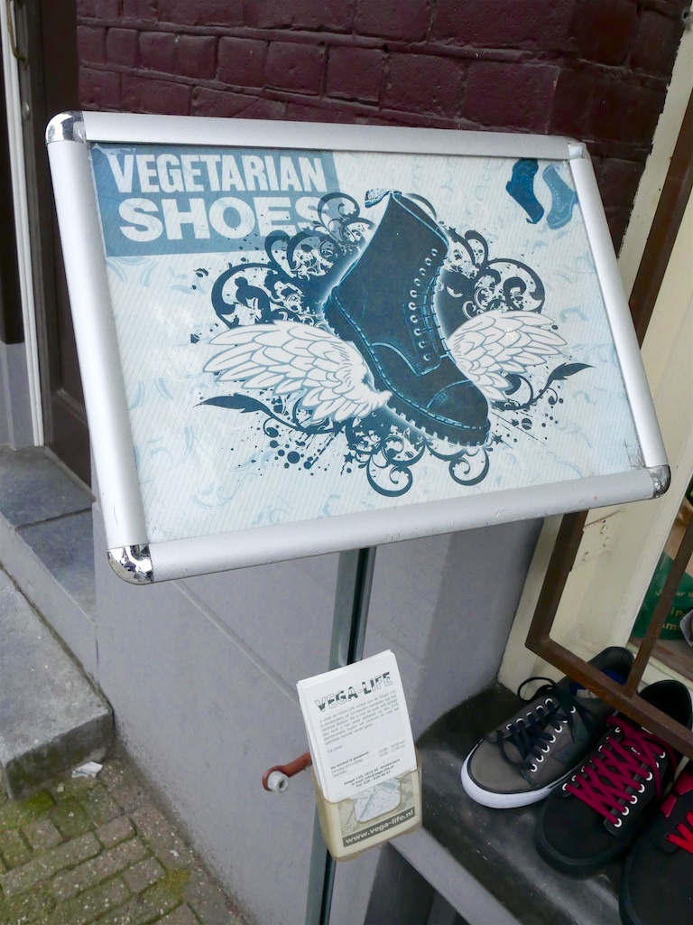 3286: Vegetarian Shoes