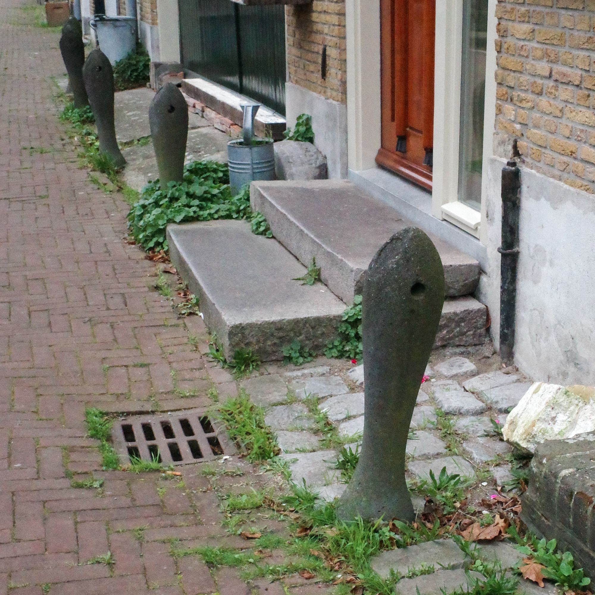 4898: Haringkoppen